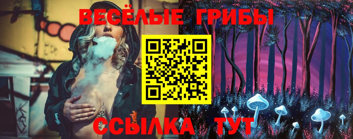 Галлюциногенные грибы мицелий Ефремов