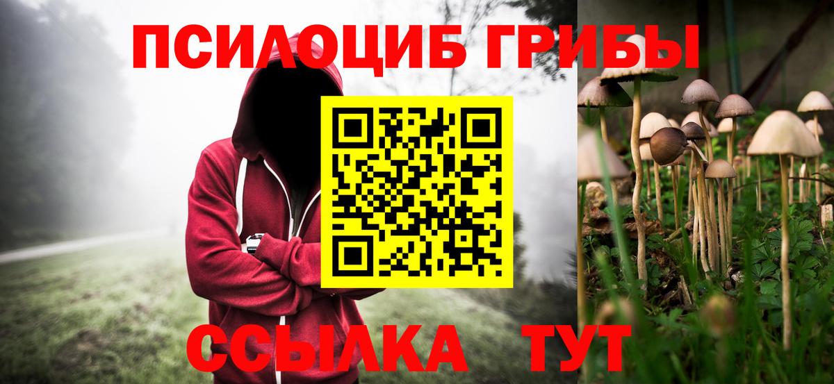 Ефремов  Галлюциногенные грибы MAGIC MUSHROOMS  Псилоцибиновые грибы мухоморы  Вход с VPN 